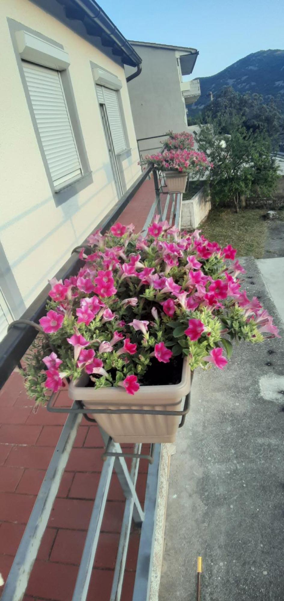 Apartma Sky&bay Plomin